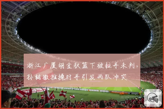 浙江广厦胡金秋篮下被拉手未判，孙铭徽推搡对手引发两队冲突