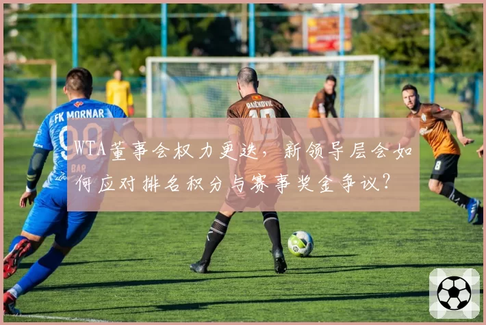 WTA董事会权力更迭，新领导层会如何应对排名积分与赛事奖金争议？
